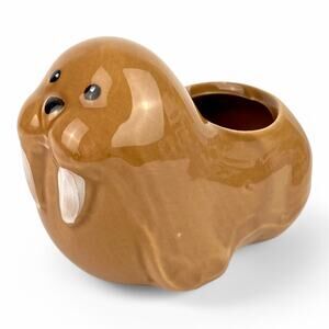 Winston Walrus Ceramic Animal Planter Grow Kit Perfect for Succulents